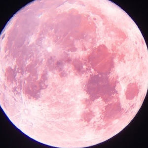 Meet your Posher, Sheraya